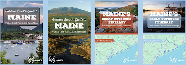 Successful Pinterest campaign pin examples for Maine